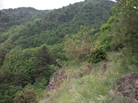 nte Rinatu-20110615 041